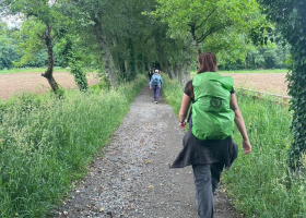 die letzten 100 km Pilgerweg: Camino Francés Light (Sarria - Santiago)