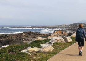 Camino Portugues - Küstenroute