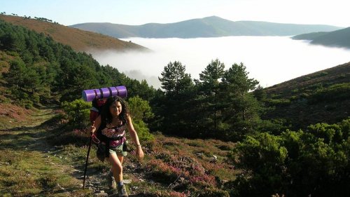 Jakobsweg Route Camino Primitivo. Antworten auf alle Fragen